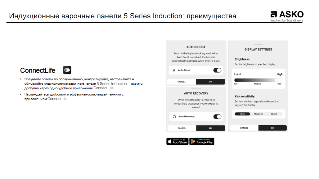 аско10.PNG