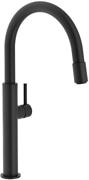 Фото товара: Franke Pescara Up&Down, смеситель, черный матовый