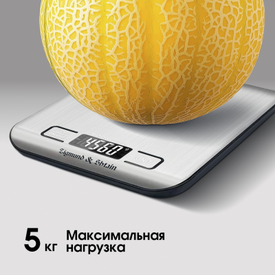 Детальное фото товара: Zigmund & Shtain DS-122