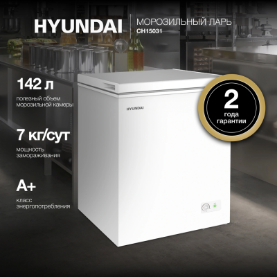 Детальное фото товара: Hyundai CH15031