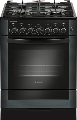 Детальное фото товара: GEFEST ПГЭ 6502-02 0044