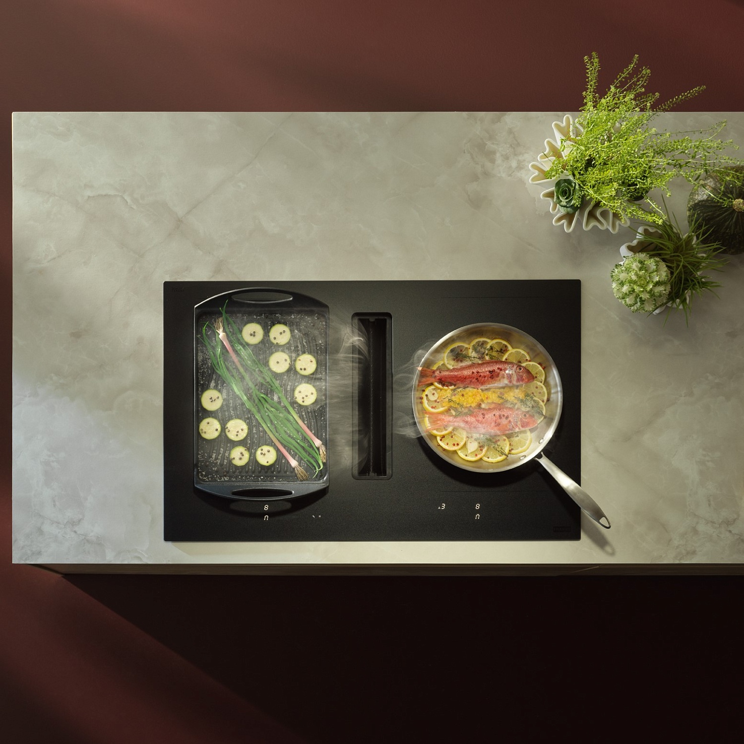 Franke 2gether Комбинированные варочные панели с вытяжкой 🍃