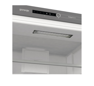 Детальное фото товара: Gorenje RKI2181A1