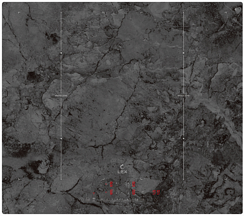 Фото товара: LEX EVI 640 F I DS индукционная поверхность