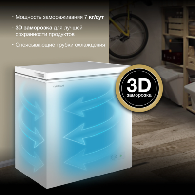 Детальное фото товара: Hyundai CH15031