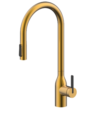 Детальное фото товара: Paulmark Universal, смеситель, брашированное золото