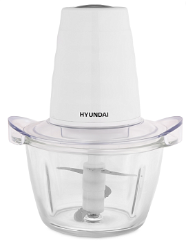 Фото товара: Hyundai HYC-G2110