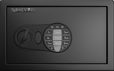 Детальное фото товара: Meyvel SF1-310-200