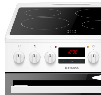 Детальное фото товара: Hansa FCCW58240H