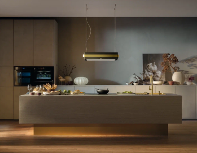 Детальное фото товара: Franke BXM 210/110-68 F-INOX, мойка, нержавеющая сталь, золото