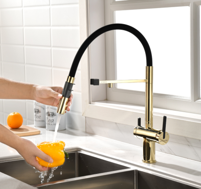 Детальное фото товара: Paulmark GRAVITY, смеситель, золото, черный шланг