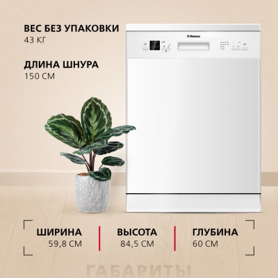 Hansa ZWM656WEH Детальное фото товара: Hansa ZWM656WEH