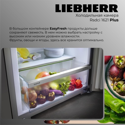 Детальное фото товара: Liebherr Rsdci 1621-20 001 Plus