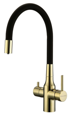 Детальное фото товара: Paulmark SALIX, смеситель, золото, черный шланг