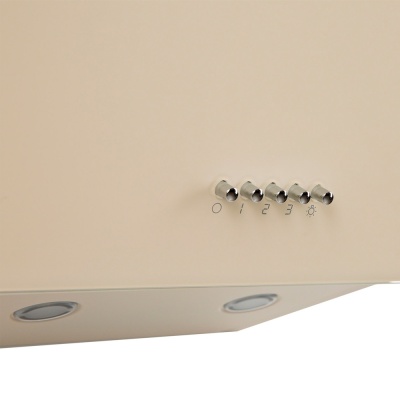 Детальное фото товара: making Oasis everywhere NP-60I