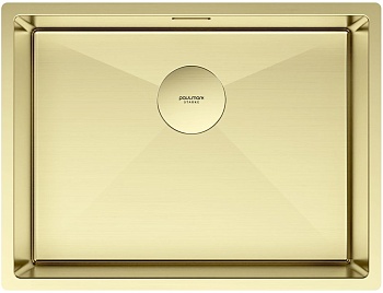 Фото товара: Paulmark NEXT 58 UNI, мойка, нержавеющая сталь, светлое золото