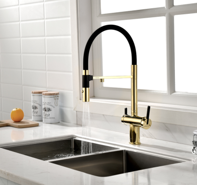 Детальное фото товара: Paulmark GRAVITY, смеситель, золото, черный шланг