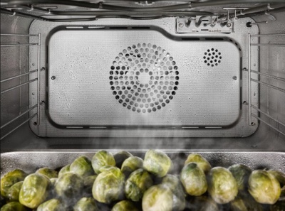 Детальное фото товара: Miele DGC7460 HC Pro OBSW