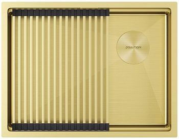 Фото товара: Paulmark NEXT-PRO 58 UNI, мойка, нержавеющая сталь, светлое золото