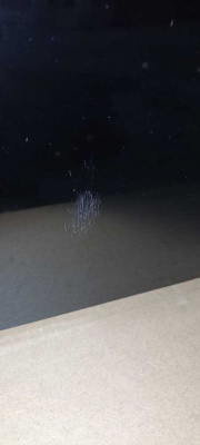 Детальное фото товара: Уценка Gorenje BOS6737E20FBG