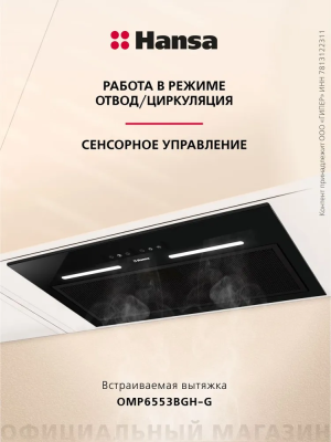 Hansa OMP6553BGH-G Детальное фото товара: Hansa OMP6553BGH-G