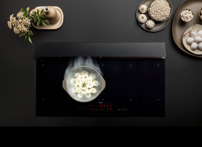 Детальное фото товара: Falmec BRERA 90 индукционная поверхность