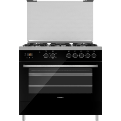 HIBERG FEG 950-25 MB