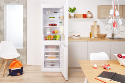 Детальное фото товара: Indesit DS 4200 W