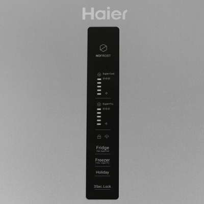 Детальное фото товара: Haier CEF536CSG