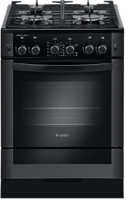 Детальное фото товара: GEFEST ПГ 6500-04 0069