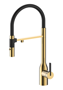 Фото товара: Paulmark Magneto One, смеситель, светлое золото