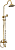 Фото товара: Seaman Barcelona SSL-5523 Sun Polish