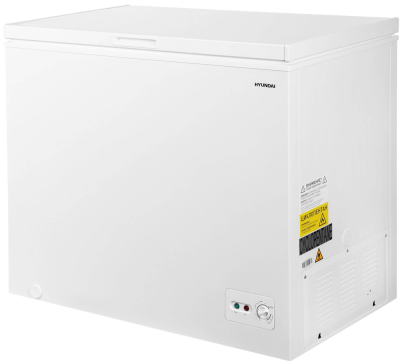 Детальное фото товара: Hyundai CH2591WT