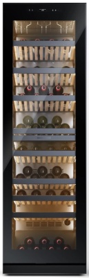 Casarte CASWS170GDAI