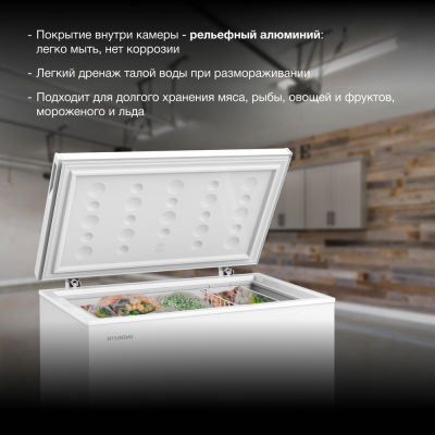 Детальное фото товара: Hyundai CH20031