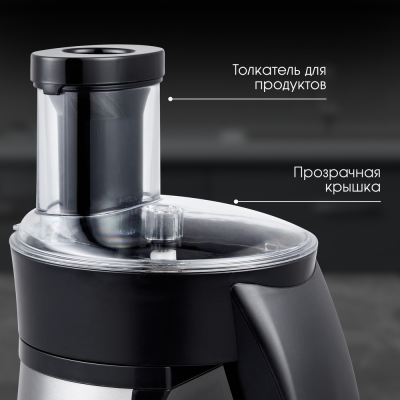 Zigmund & Shtain SM-24 Детальное фото товара: Zigmund & Shtain SM-24