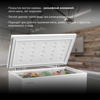 Детальное фото товара: Hyundai CH25031