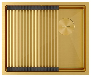 Фото товара: Paulmark NEXT-PRO 54 UNI, мойка, нержавеющая сталь, брашированное золото