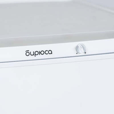 Детальное фото товара: Бирюса 553