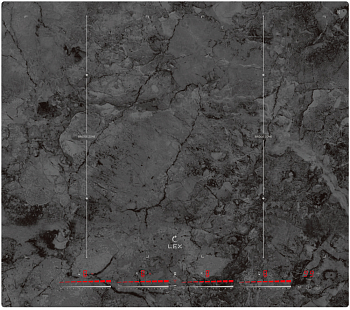Фото товара: LEX EVI 640-1 F I DS индукционная поверхность
