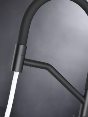 Детальное фото товара: Paulmark RUBERT, смеситель, черный