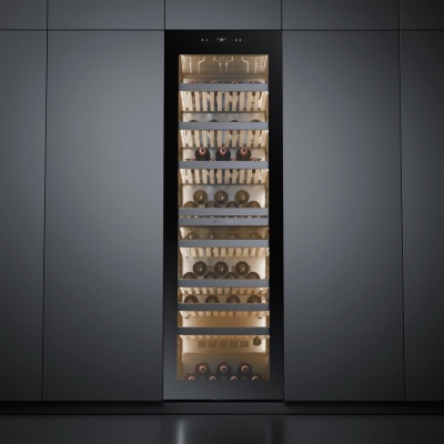 Casarte CASWS170GDAI Детальное фото товара: Casarte CASWS170GDAI