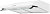 Фото товара: EXITEQ EX-1056 white
