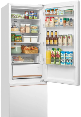 Детальное фото товара: Toshiba GR-RB572WI-PMJ(51)