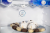 Детальное фото товара: SCANDILUX R711EZ12B