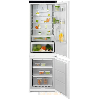 Фото товара: Electrolux ENTMUSP8S