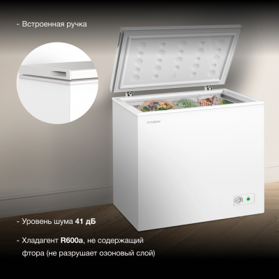 Детальное фото товара: Hyundai CH20031