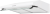 EXITEQ EX-1056 white Детальное фото товара: EXITEQ EX-1056 white