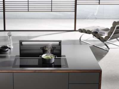 Детальное фото товара: Miele DAD4841 Levantar